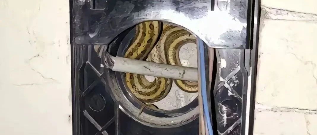 这电梯你敢修？估计碰都不敢碰！
